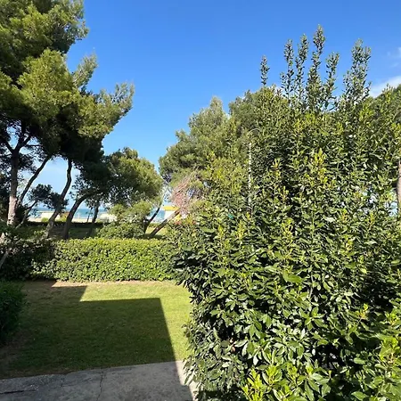 Costa * 朱利亚诺瓦