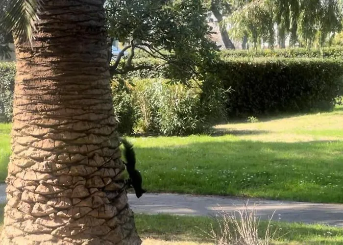 Costa Apartment Giulianova